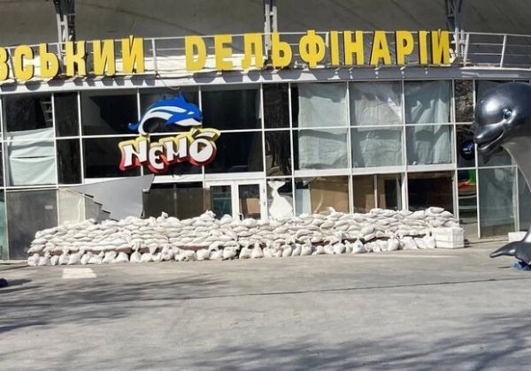Из Харькова в Одессу привезут дельфинов, морских львов и котиков