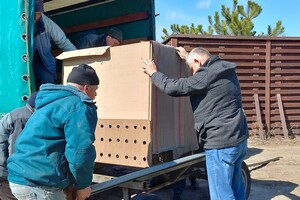 Из зоопарка в Одесской области эвакуировали хищников