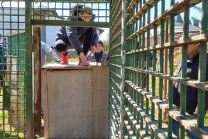 Из зоопарка в Одесской области эвакуировали хищников