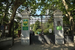 В Одессе распустились первые цветы в Лавандовом лабиринте (фото) 