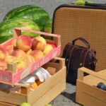 Лимиты на льготные инвесткредиты для МСП решили передать на оборотные займы