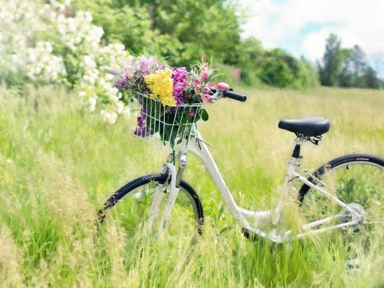 В Україну вторгнеться холодний фронт: стало відомо, коли відступить «африканська» спека