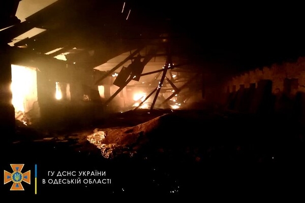 Cпасли 30 тонн зерна, тушили 40 пожаров: как прошли сутки у одесских спасателей