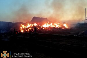 Cпасли 30 тонн зерна, тушили 40 пожаров: как прошли сутки у одесских спасателей