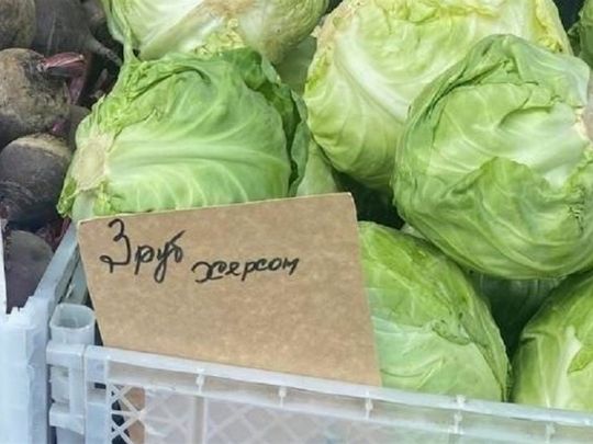Бізнесмени з найближчого оточення путіна планують вивозити за безцінь херсонські овочі до Москви
