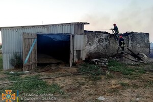 Cпасли 30 тонн зерна, тушили 40 пожаров: как прошли сутки у одесских спасателей