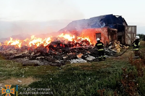 Cпасли 30 тонн зерна, тушили 40 пожаров: как прошли сутки у одесских спасателей