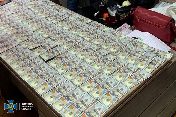 Чиновниця львівської мерії заробила на фальшивих інвалідах мільйони гривень (фото)