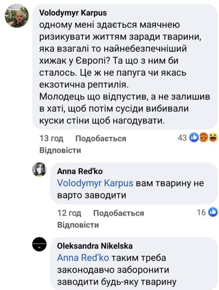 Майкл Щур розповів, що «викинув кота на вулицю»: в мережі відреагували