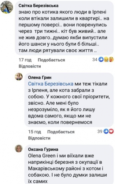 Майкл Щур розповів, що «викинув кота на вулицю»: в мережі відреагували