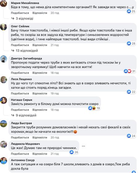 На озері під Києвом зафіксували масовий мор риби: місцеві жителі звинувачують владу