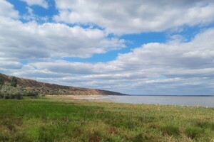 Альтернатива морю: как выглядит одесский Куяльник в сентябре
