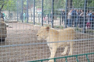 Одесский зоопарк отмечает столетие 