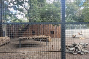 Одесский зоопарк отмечает столетие 