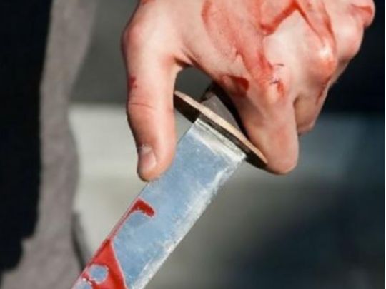 В Ірландії напали на матір з донькою з України: дівчинка отримала 74 ножові поранення