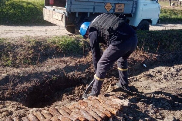 В Одесской области уничтожили более 150-ти снарядов, которые нашел пес (видео)