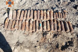 В Одесской области уничтожили более 150-ти снарядов, которые нашел пес (видео)