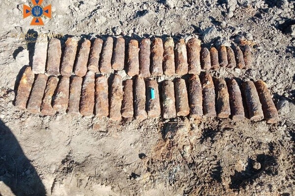 В Одесской области уничтожили более 150-ти снарядов, которые нашел пес (видео)