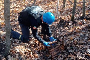 В Одесской области уничтожили более 150-ти снарядов, которые нашел пес (видео)