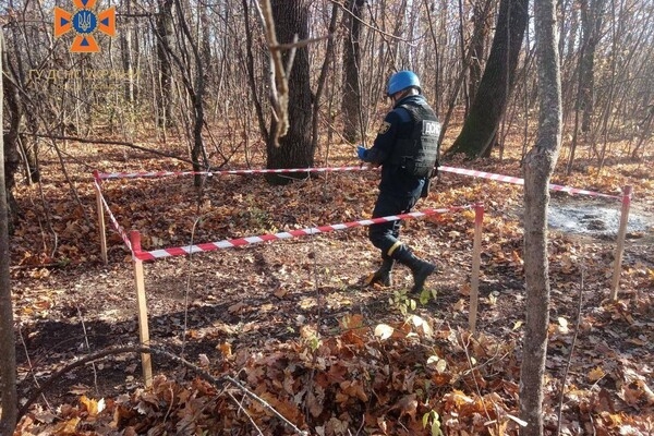 В Одесской области уничтожили более 150-ти снарядов, которые нашел пес (видео)