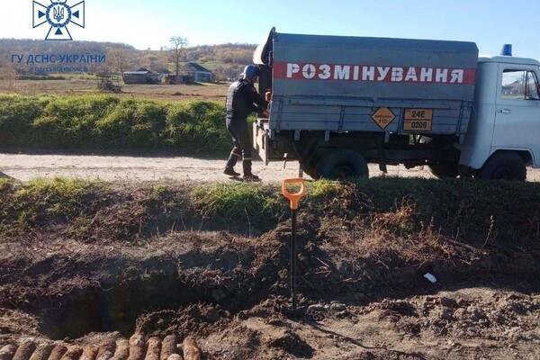 В Одесской области уничтожили более 150-ти снарядов, которые нашел пес (видео)