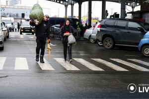 В Одессе появились первые елочные базары