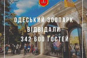 Как прошли 365 дней войны в Одессе: факты в цифрах