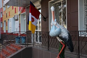 Где в Одессе можно получить помощь женщинам, пострадавшим от насилия