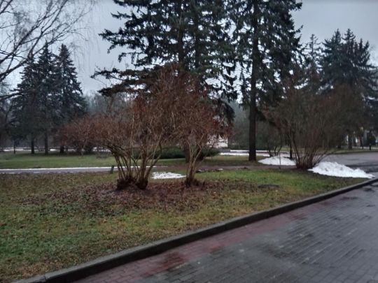 «Строкате Стрітення», теплий березень і похолодання у квітні: синоптики розповіли про погоду у найближчі тижні