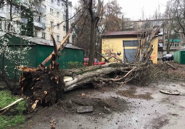 Непогода в Одессе и области: кому уже вернули свет и что с пострадавшими 