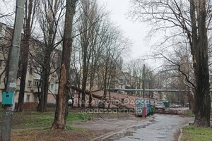 В Одессе начался древопад и остановились трамваи
