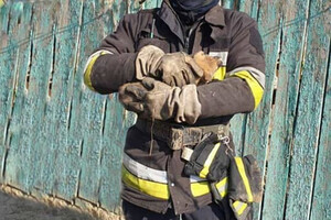 На улице Вильямса в Одессе горели лавки и киоск