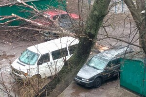 В Одессе начался древопад и остановились трамваи