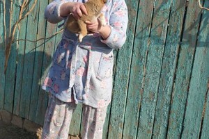 На улице Вильямса в Одессе горели лавки и киоск