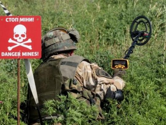 Кожен фермер може скористатись такою послугою: стало відомо, як розмінувати поля перед посівною