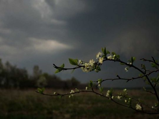 Зливи, снігопади, грози і морози: якою буде погода в перші дні квітня