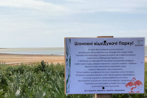 В Одесской области впервые стали гнездиться розовые фламинго