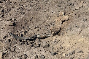 Ночная атака на Одессу: над областью сбили 8 крылатых ракет (обновлено)