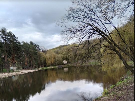 Не поспішайте садити розсаду: синоптики розповіли, коли до України повернеться тепло