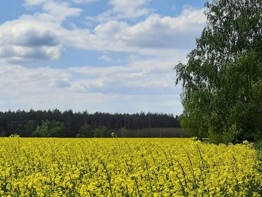 Тепло, але місцями дощі, град та шквали: синоптики розповіли про погоду у різних регіонах країни
