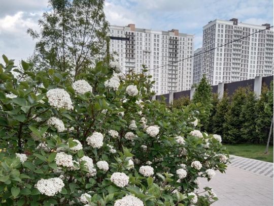 Торнадо у червні та спека у липні: якою буде погода найближчими місяцями