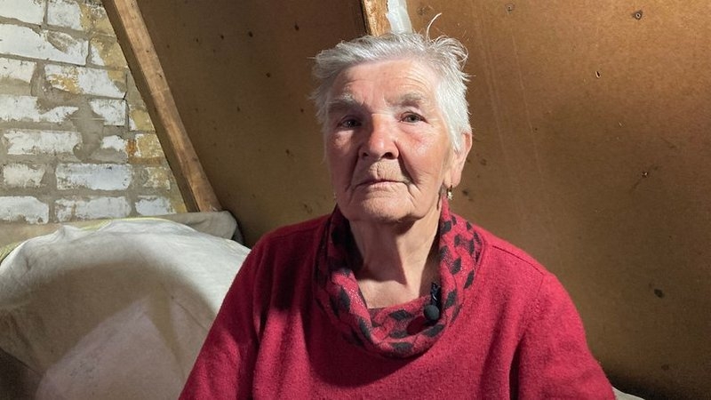 «У мене на городі 12 вирв від російських снарядів. А між ними ростуть огірки»: єдина мешканка зруйнованого села на Харківщині