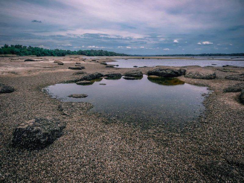 У мережі показали, як виглядає Каховське море після теракту росіян (фото, відео)