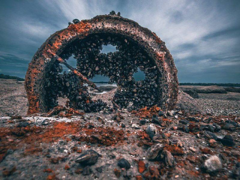 У мережі показали, як виглядає Каховське море після теракту росіян (фото, відео)
