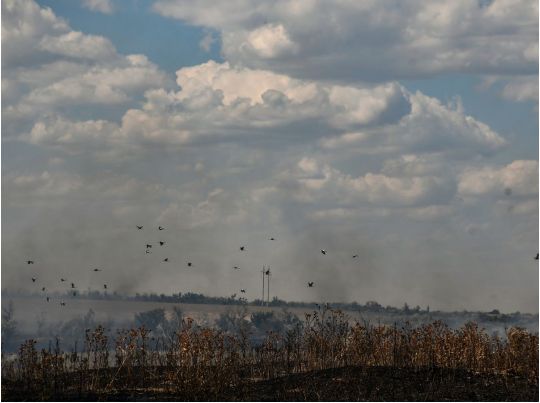 На Миколаївщині палають заміновані поля, відбувається детонація, — ДСНС
