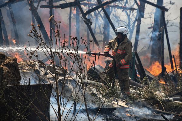 На Миколаївщині палають заміновані поля, відбувається детонація, — ДСНС