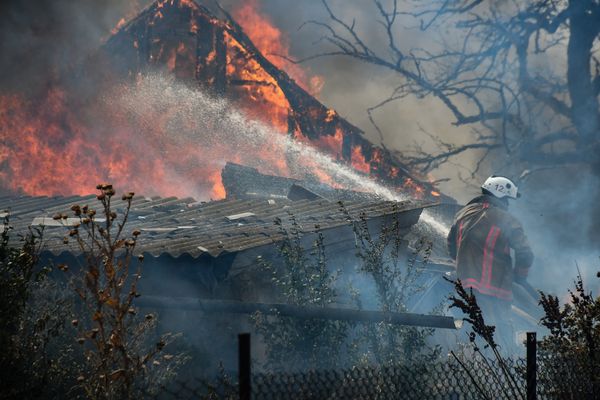 На Миколаївщині палають заміновані поля, відбувається детонація, — ДСНС