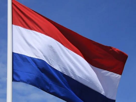 Нідерланди скасовують пільгове навчання для українських біженців