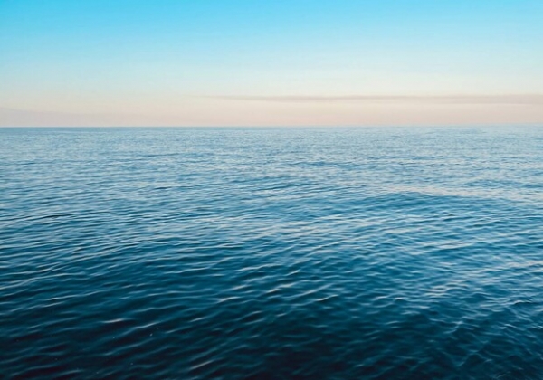 Получи ответ: безопасна ли морская вода на пляжах в Одессе сейчас 