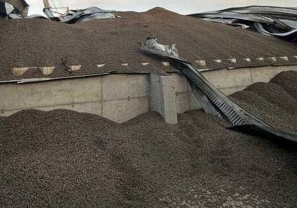 Россия испортила 40 000 тонн зерна в Одесской области: цены на продовольствие поднялись 